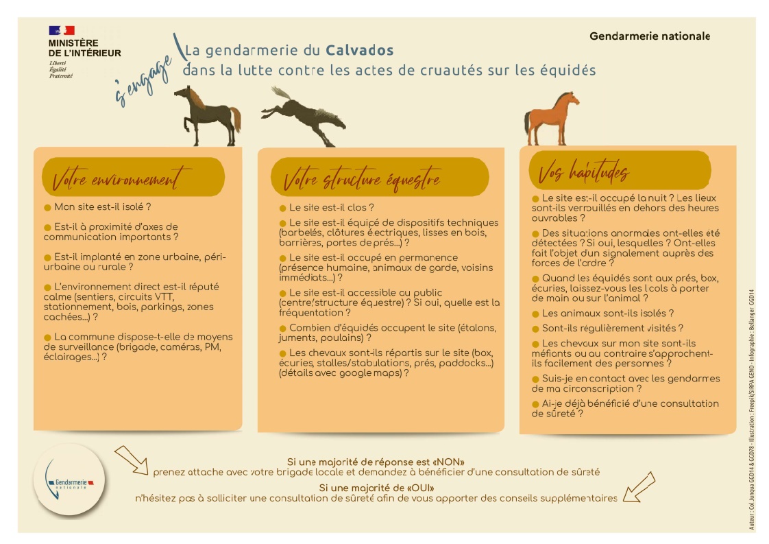 INFO EQUIDES 2
